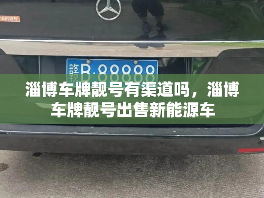 淄博车牌靓号有渠道吗,淄博车牌靓号出售新能源车-第2张图片-七号汽车选号 淄博车牌靓号有渠道吗,淄博车牌靓号出售新能源车-第2张图片-七号汽车选号