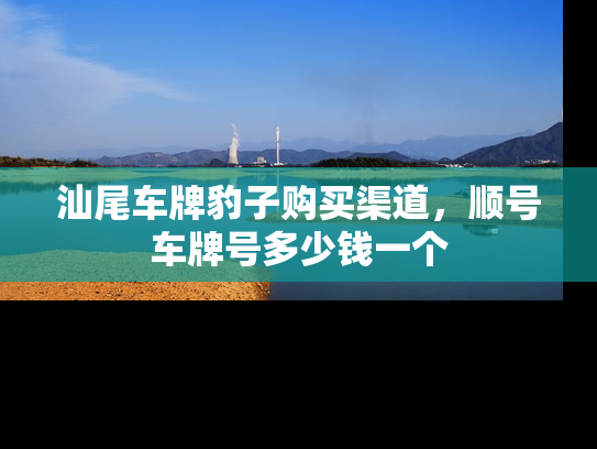 汕尾车牌豹子购买渠道，顺号车牌号多少钱一个
