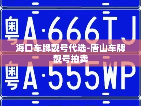 海口车牌靓号代选-唐山车牌靓号拍卖-第2张图片-七号汽车选号 海口车牌靓号代选-唐山车牌靓号拍卖-第2张图片-七号汽车选号