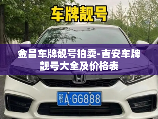 金昌车牌靓号拍卖-吉安车牌靓号大全及价格表-第3张图片-七号汽车选号