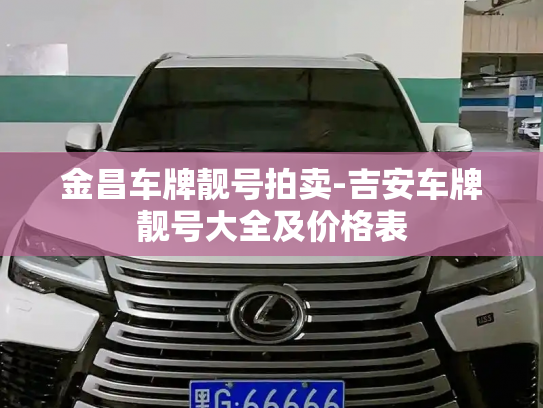 金昌车牌靓号拍卖-吉安车牌靓号大全及价格表-第2张图片-七号汽车选号