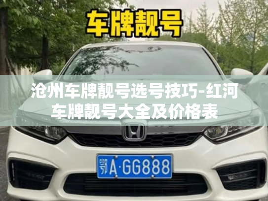沧州车牌靓号选号技巧-红河车牌靓号大全及价格表-第3张图片-七号汽车选号 沧州车牌靓号选号技巧-红河车牌靓号大全及价格表-第3张图片-七号汽车选号