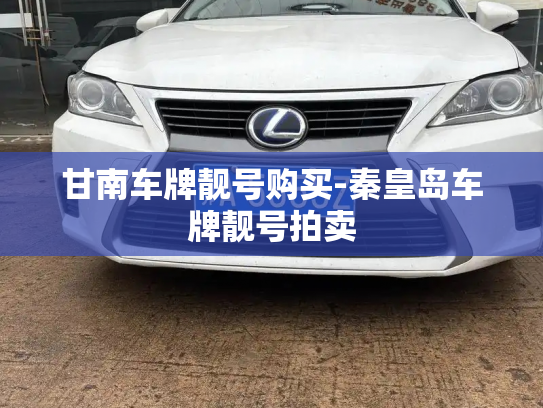 甘南车牌靓号购买-秦皇岛车牌靓号拍卖-第4张图片-七号汽车选号 甘南车牌靓号购买-秦皇岛车牌靓号拍卖-第4张图片-七号汽车选号