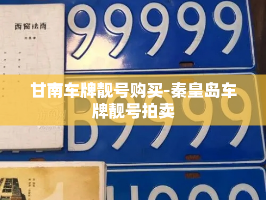 甘南车牌靓号购买-秦皇岛车牌靓号拍卖-第2张图片-七号汽车选号 甘南车牌靓号购买-秦皇岛车牌靓号拍卖-第2张图片-七号汽车选号