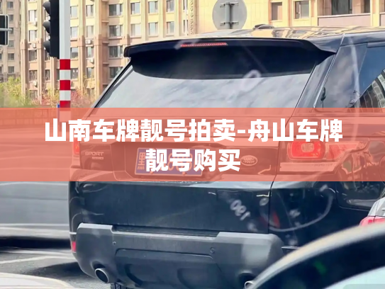 山南车牌靓号拍卖-舟山车牌靓号购买-第3张图片-七号汽车选号 山南车牌靓号拍卖-舟山车牌靓号购买-第3张图片-七号汽车选号