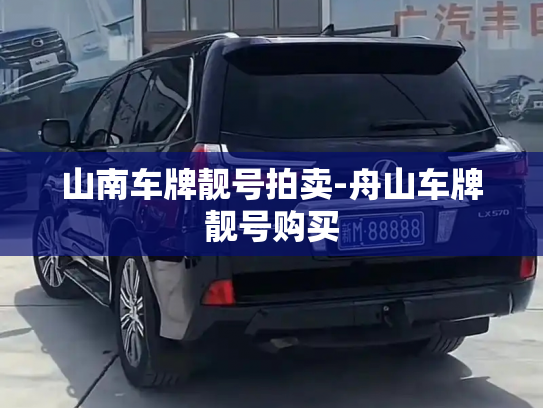 山南车牌靓号拍卖-舟山车牌靓号购买-第4张图片-七号汽车选号 山南车牌靓号拍卖-舟山车牌靓号购买-第4张图片-七号汽车选号