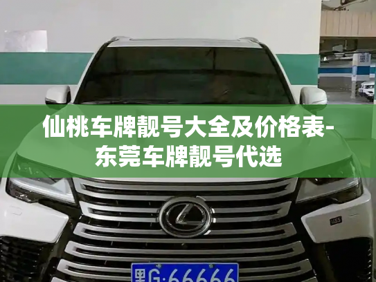 仙桃车牌靓号大全及价格表-东莞车牌靓号代选-第3张图片-七号汽车选号 仙桃车牌靓号大全及价格表-东莞车牌靓号代选-第3张图片-七号汽车选号