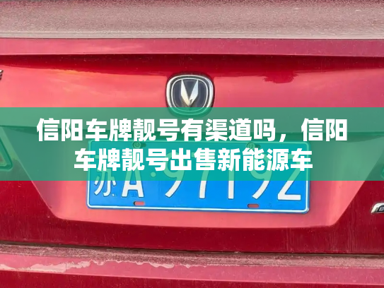 信阳车牌靓号有渠道吗，信阳车牌靓号出售新能源车-第3张图片-七号汽车选号