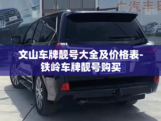 文山车牌靓号大全及价格表-铁岭车牌靓号购买-第3张图片-七号汽车选号 文山车牌靓号大全及价格表-铁岭车牌靓号购买-第3张图片-七号汽车选号