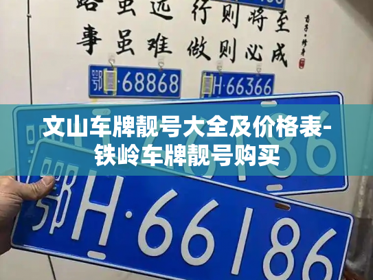 文山车牌靓号大全及价格表-铁岭车牌靓号购买-第4张图片-七号汽车选号 文山车牌靓号大全及价格表-铁岭车牌靓号购买-第4张图片-七号汽车选号