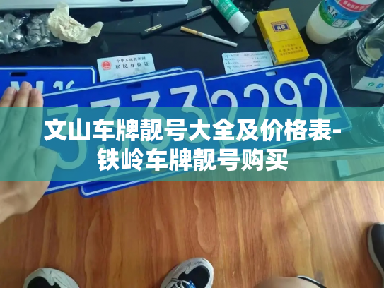 文山车牌靓号大全及价格表-铁岭车牌靓号购买-第2张图片-七号汽车选号 文山车牌靓号大全及价格表-铁岭车牌靓号购买-第2张图片-七号汽车选号