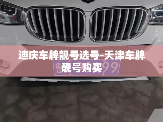 迪庆车牌靓号选号-天津车牌靓号购买-第3张图片-七号汽车选号