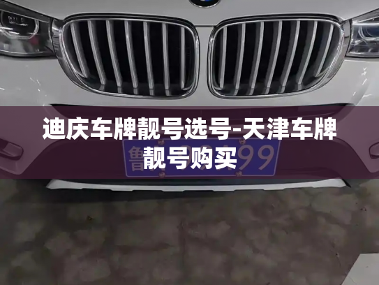 迪庆车牌靓号选号-天津车牌靓号购买-第4张图片-七号汽车选号