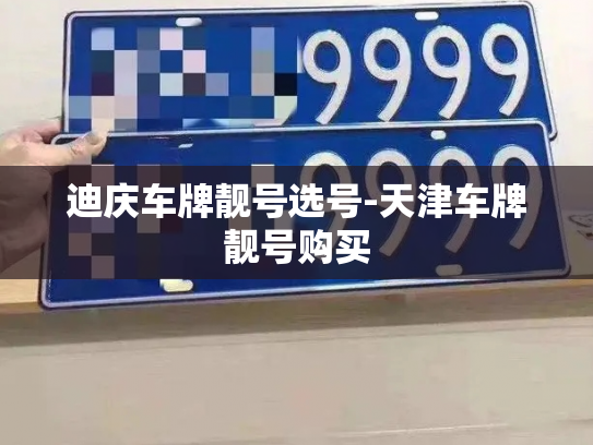 迪庆车牌靓号选号-天津车牌靓号购买-第2张图片-七号汽车选号