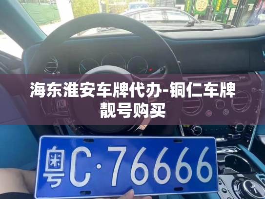 海东淮安车牌代办-铜仁车牌靓号购买-第3张图片-七号汽车选号