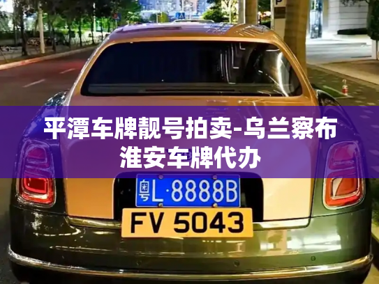 平潭车牌靓号拍卖-乌兰察布淮安车牌代办-第2张图片-七号汽车选号