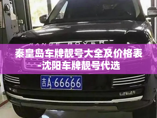 秦皇岛车牌靓号大全及价格表-沈阳车牌靓号代选-第3张图片-七号汽车选号