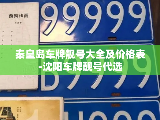 秦皇岛车牌靓号大全及价格表-沈阳车牌靓号代选-第4张图片-七号汽车选号