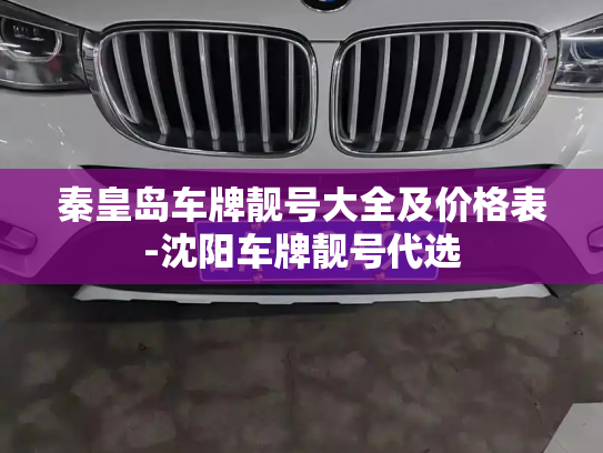 秦皇岛车牌靓号大全及价格表-沈阳车牌靓号代选-第2张图片-七号汽车选号