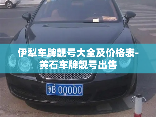 伊犁车牌靓号大全及价格表-黄石车牌靓号出售-第4张图片-七号汽车选号