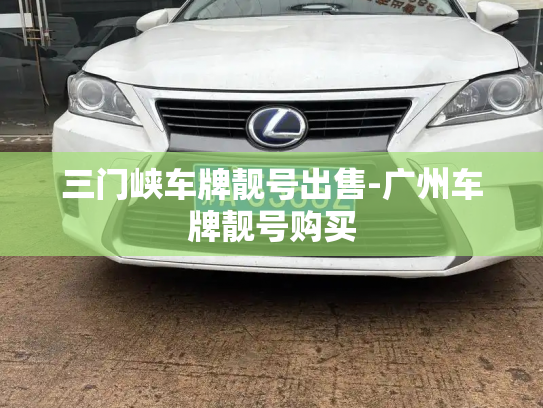 三门峡车牌靓号出售-广州车牌靓号购买-第3张图片-七号汽车选号 三门峡车牌靓号出售-广州车牌靓号购买-第3张图片-七号汽车选号