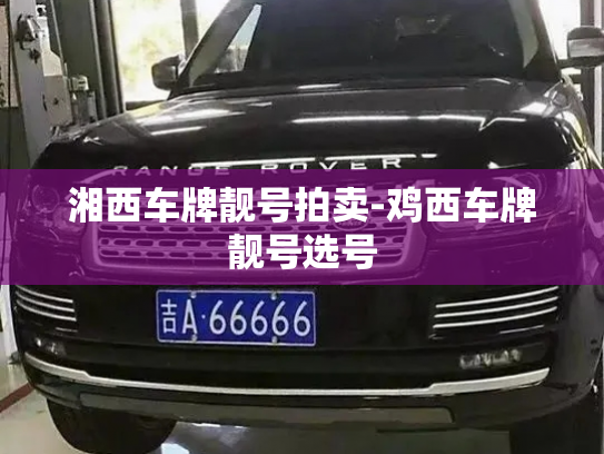湘西车牌靓号拍卖-鸡西车牌靓号选号-第3张图片-七号汽车选号 湘西车牌靓号拍卖-鸡西车牌靓号选号-第3张图片-七号汽车选号