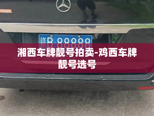 湘西车牌靓号拍卖-鸡西车牌靓号选号-第4张图片-七号汽车选号 湘西车牌靓号拍卖-鸡西车牌靓号选号-第4张图片-七号汽车选号