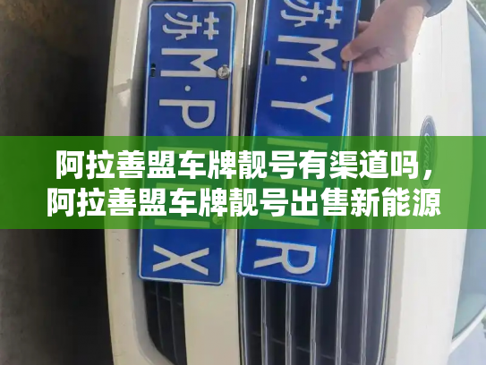 阿拉善盟车牌靓号有渠道吗,阿拉善盟车牌靓号出售新能源车-第2张图片-七号汽车选号 阿拉善盟车牌靓号有渠道吗,阿拉善盟车牌靓号出售新能源车-第2张图片-七号汽车选号