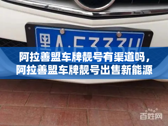 阿拉善盟车牌靓号有渠道吗,阿拉善盟车牌靓号出售新能源车-第3张图片-七号汽车选号 阿拉善盟车牌靓号有渠道吗,阿拉善盟车牌靓号出售新能源车-第3张图片-七号汽车选号
