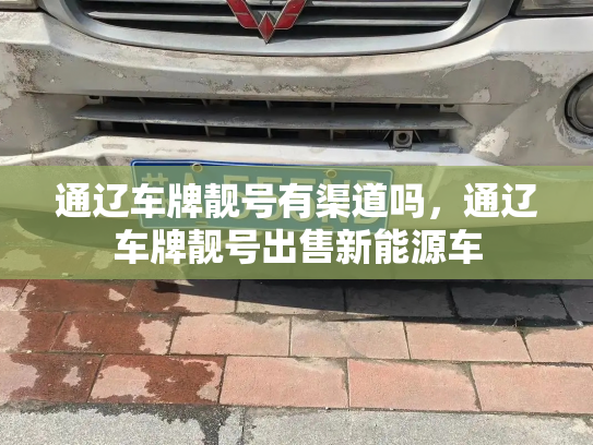 通辽车牌靓号有渠道吗，通辽车牌靓号出售新能源车-第2张图片-七号汽车选号