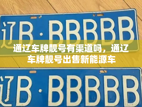 通辽车牌靓号有渠道吗，通辽车牌靓号出售新能源车-第3张图片-七号汽车选号
