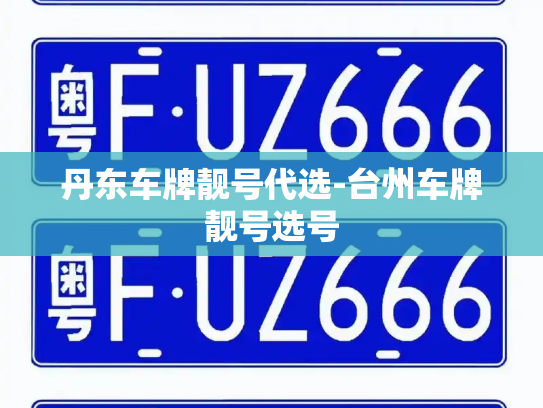 丹东车牌靓号代选-台州车牌靓号选号-第3张图片-七号汽车选号 丹东车牌靓号代选-台州车牌靓号选号-第3张图片-七号汽车选号