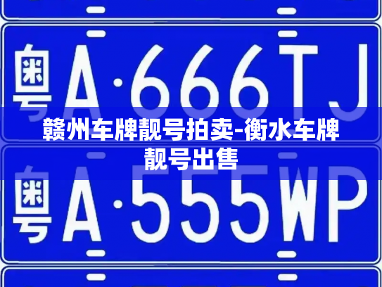 赣州车牌靓号拍卖-衡水车牌靓号出售-第2张图片-七号汽车选号