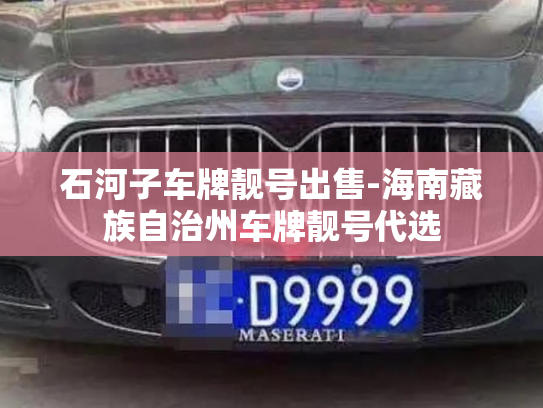 石河子车牌靓号出售-海南藏族自治州车牌靓号代选-第3张图片-七号汽车选号