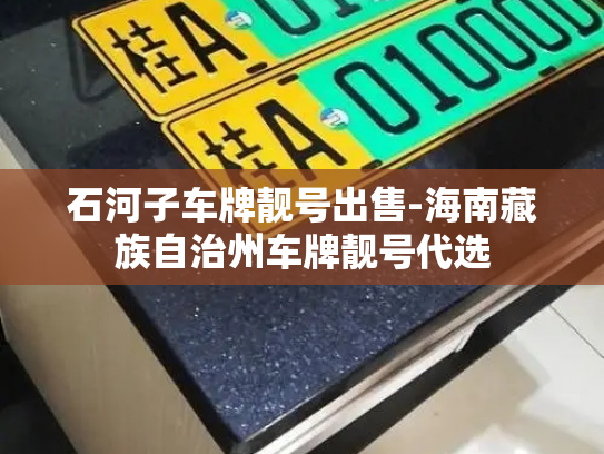 石河子车牌靓号出售-海南藏族自治州车牌靓号代选-第4张图片-七号汽车选号