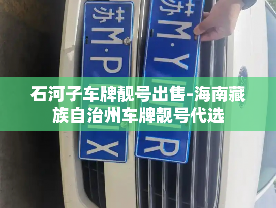 石河子车牌靓号出售-海南藏族自治州车牌靓号代选-第2张图片-七号汽车选号