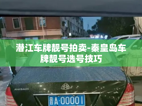 潜江车牌靓号拍卖-秦皇岛车牌靓号选号技巧-第3张图片-七号汽车选号