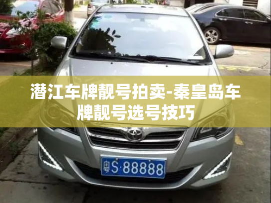 潜江车牌靓号拍卖-秦皇岛车牌靓号选号技巧-第4张图片-七号汽车选号