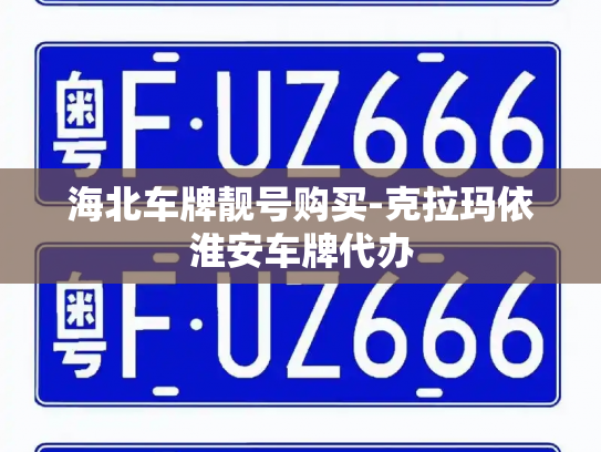 海北车牌靓号购买-克拉玛依淮安车牌代办-第2张图片-七号汽车选号