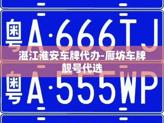 湛江淮安车牌代办-廊坊车牌靓号代选-第4张图片-七号汽车选号 湛江淮安车牌代办-廊坊车牌靓号代选-第4张图片-七号汽车选号