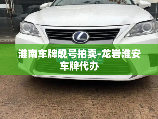 淮南车牌靓号拍卖-龙岩淮安车牌代办-第3张图片-七号汽车选号