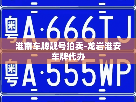 淮南车牌靓号拍卖-龙岩淮安车牌代办-第4张图片-七号汽车选号