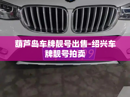 葫芦岛车牌靓号出售-绍兴车牌靓号拍卖-第3张图片-七号汽车选号 葫芦岛车牌靓号出售-绍兴车牌靓号拍卖-第3张图片-七号汽车选号