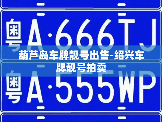葫芦岛车牌靓号出售-绍兴车牌靓号拍卖-第4张图片-七号汽车选号 葫芦岛车牌靓号出售-绍兴车牌靓号拍卖-第4张图片-七号汽车选号