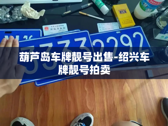 葫芦岛车牌靓号出售-绍兴车牌靓号拍卖-第2张图片-七号汽车选号 葫芦岛车牌靓号出售-绍兴车牌靓号拍卖-第2张图片-七号汽车选号