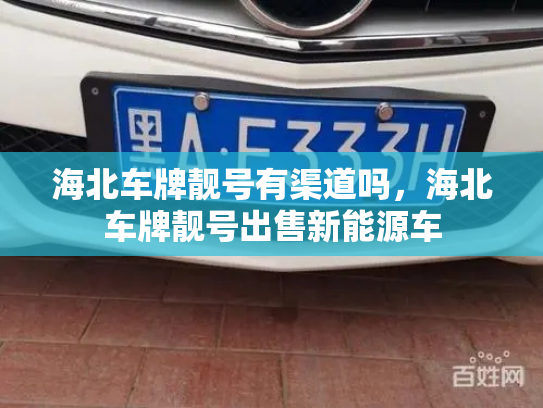 海北车牌靓号有渠道吗，海北车牌靓号出售新能源车-第2张图片-七号汽车选号