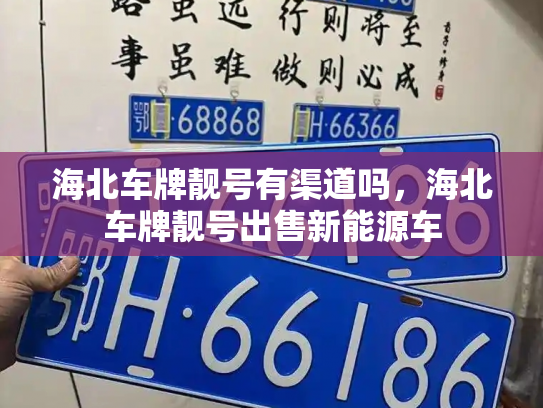 海北车牌靓号有渠道吗，海北车牌靓号出售新能源车-第3张图片-七号汽车选号