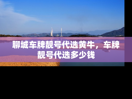 聊城车牌靓号代选黄牛，车牌靓号代选多少钱