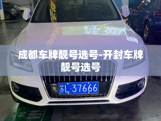 成都车牌靓号选号-开封车牌靓号选号-第3张图片-七号汽车选号