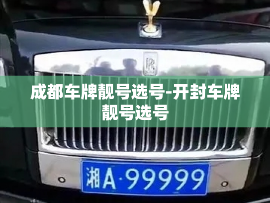成都车牌靓号选号-开封车牌靓号选号-第4张图片-七号汽车选号